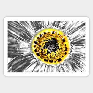 Metalised Gazania Sticker